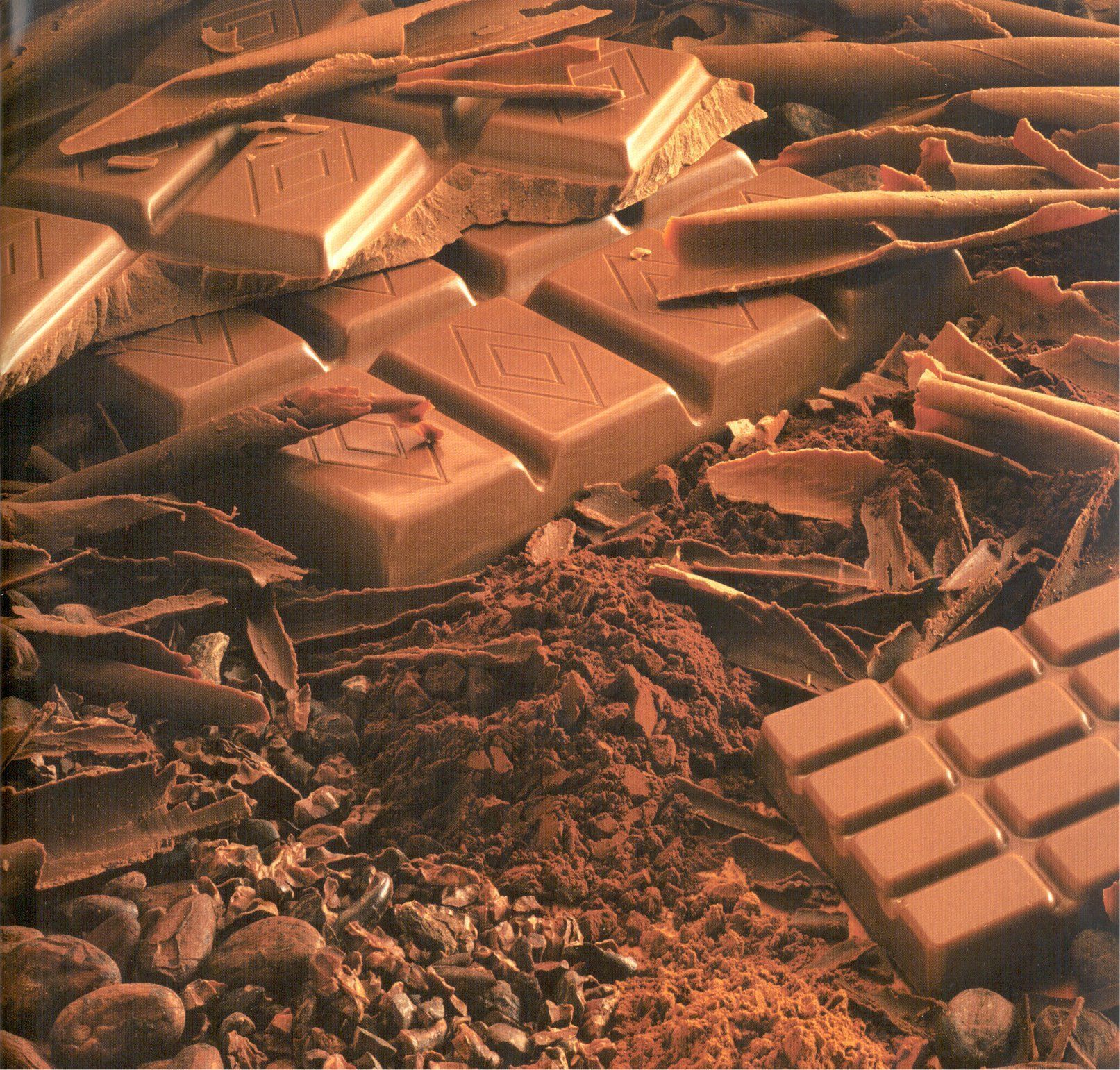 origine-du-mot-cacao-et-chocolat